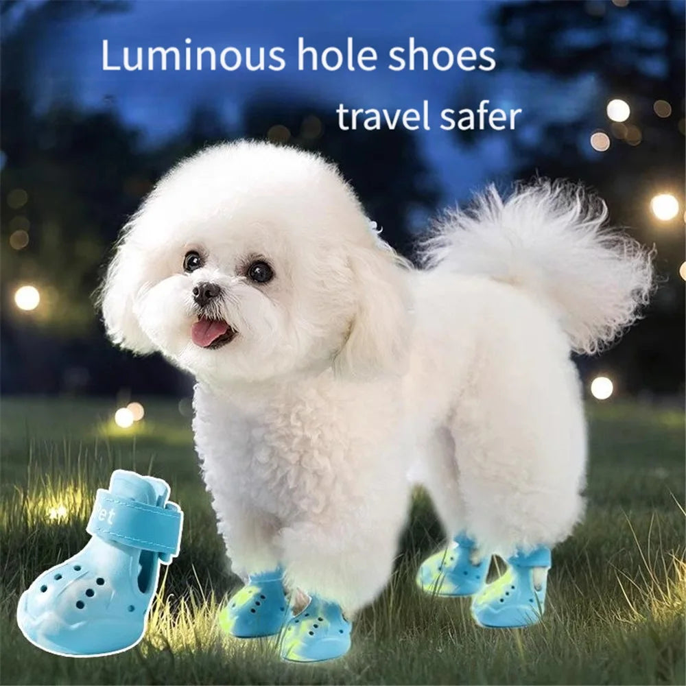 LightPaws™ Shoes 🐶💡 — Bright Steps, Soft & Secure