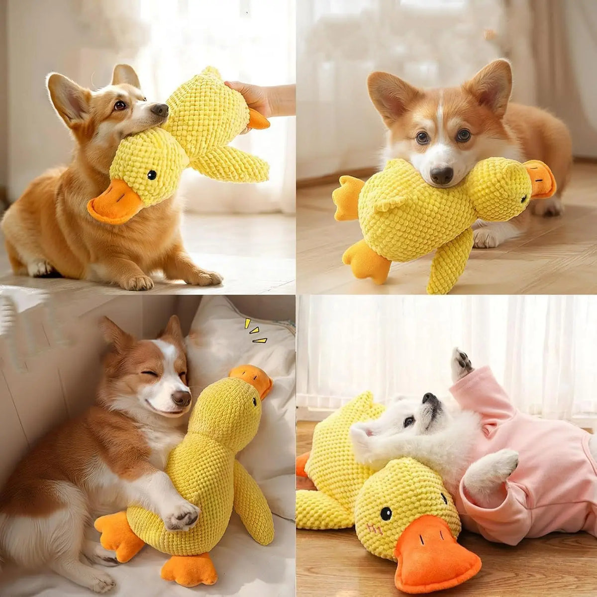 Quacking Duck Dog Toy – Interactive Squeaky Chew Toy for Dogs
