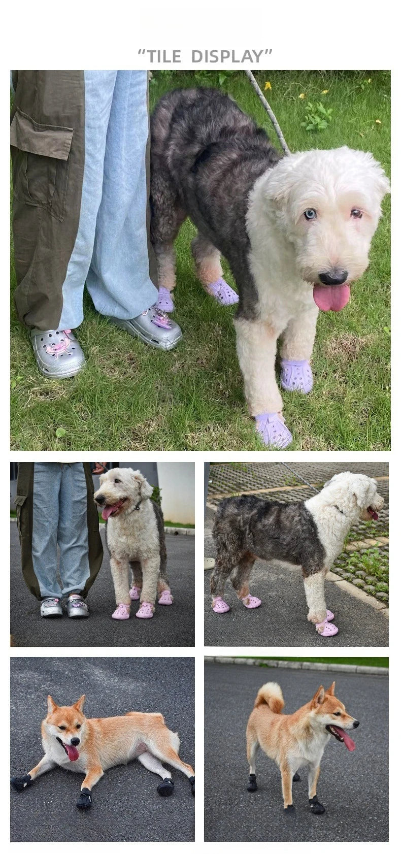 LightPaws™ Shoes 🐶💡 — Bright Steps, Soft & Secure